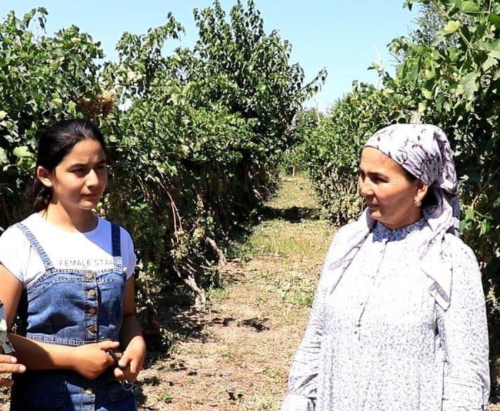 🍇 БОҒОТ ТУМАНИ - УЗУМЧИЛИККА ИХТИСОСЛАШТИРИЛАЁТГАН ТУМАН