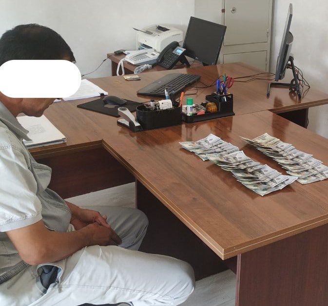 Tuproqqalʼa tuman va Hazorasp tuman firibgarlik holatlari aniqlandi
