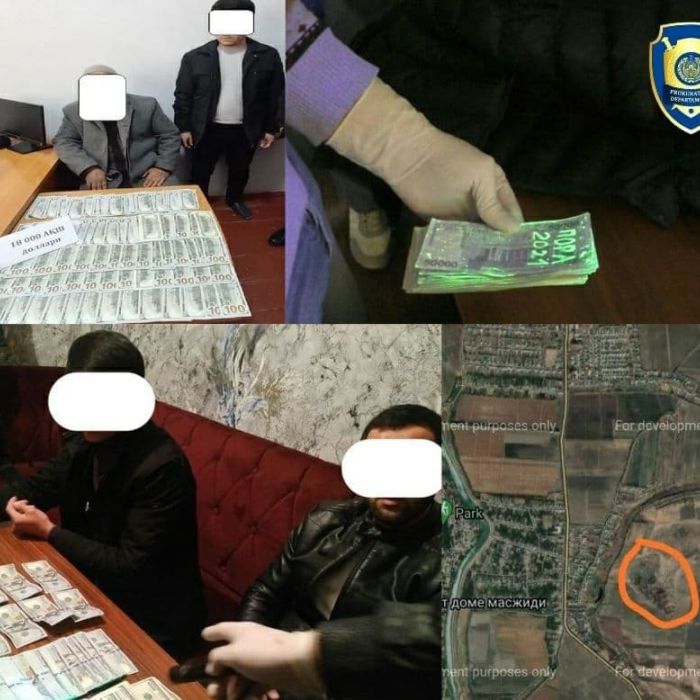 Департамент органлари томонидан ер майдонлари савдоси билан боғлиқ фирибгарлик жиноятлари фош этилди