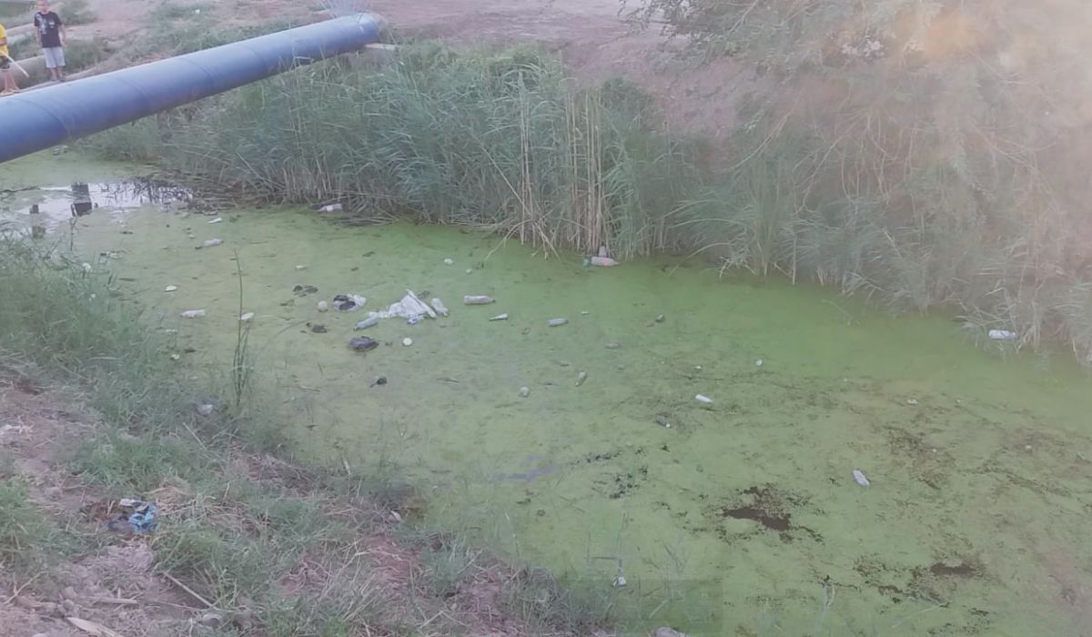 E'tibotsiz qolgan